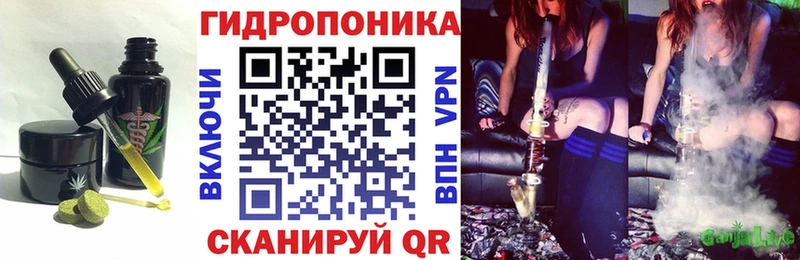 Купить  Спасск  Canna-Cookies конопля 