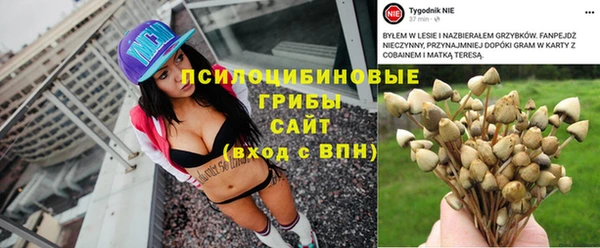 мет Слюдянка