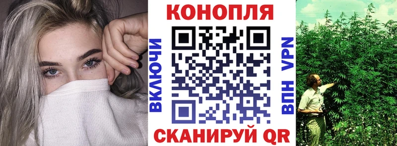 Купить  Спасск  Бошки марихуана сатива 